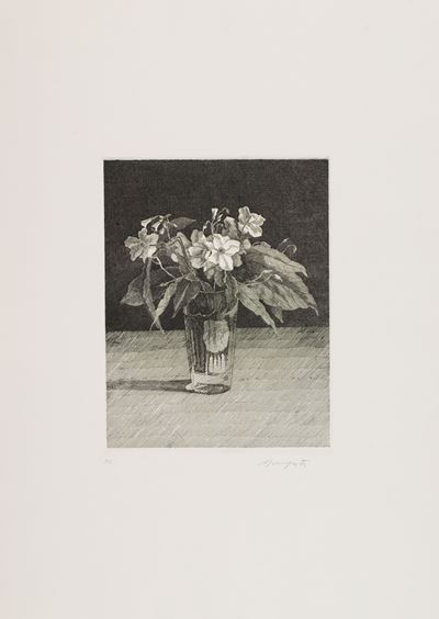 Fiori Bianchi