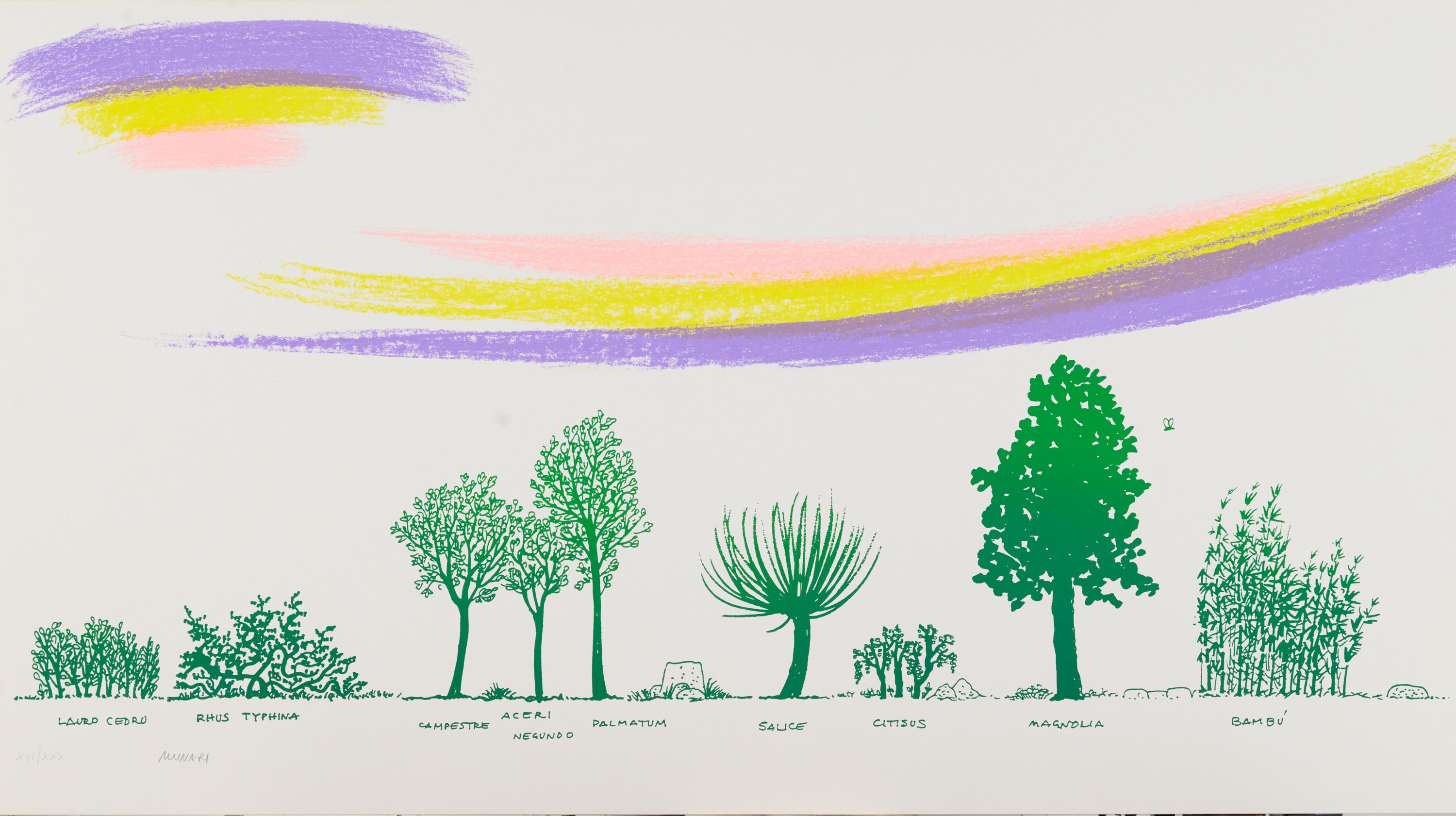 Bruno Munari - Un Viale di Alberi Diversi
