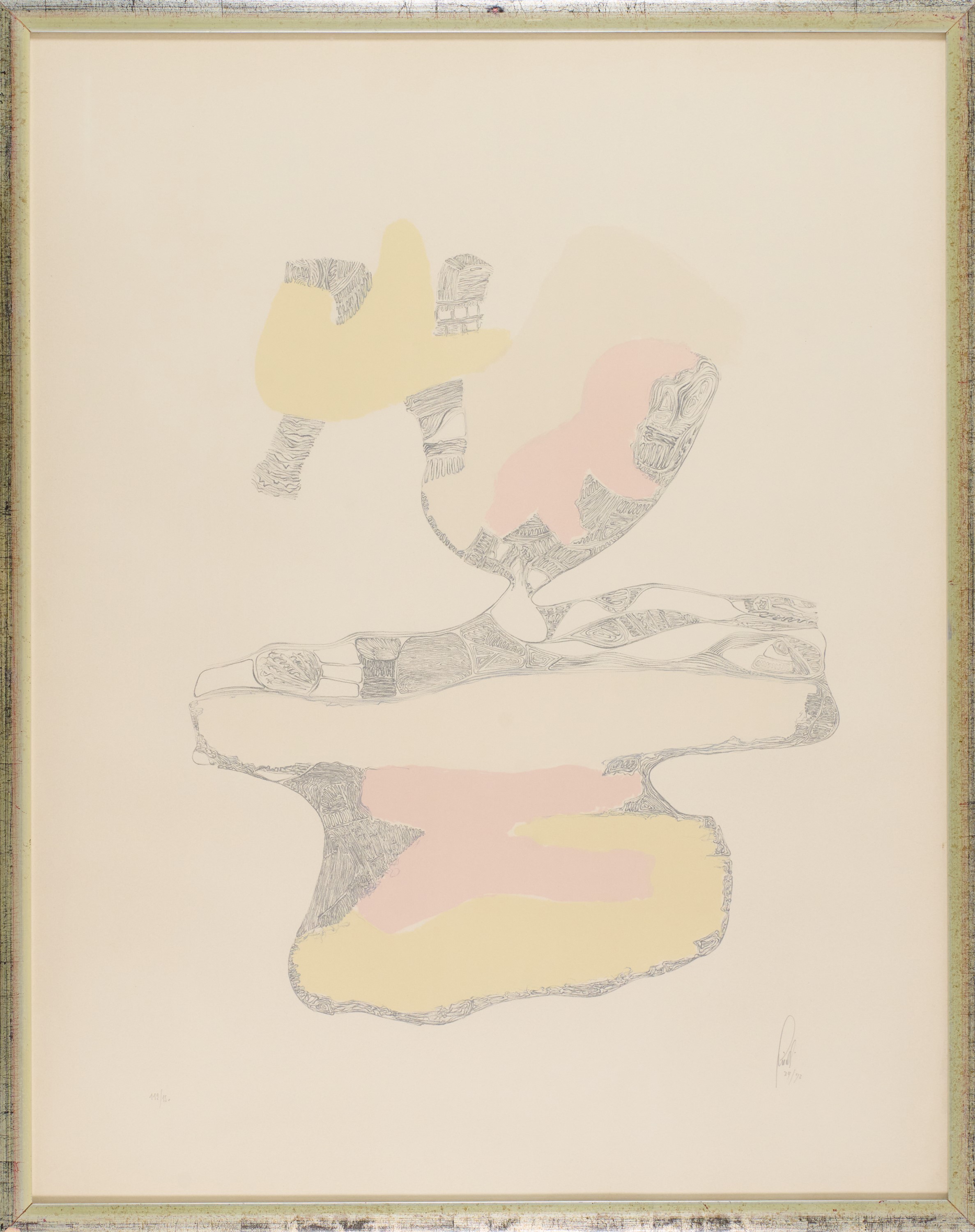 Cartella contenente 30 incisioni