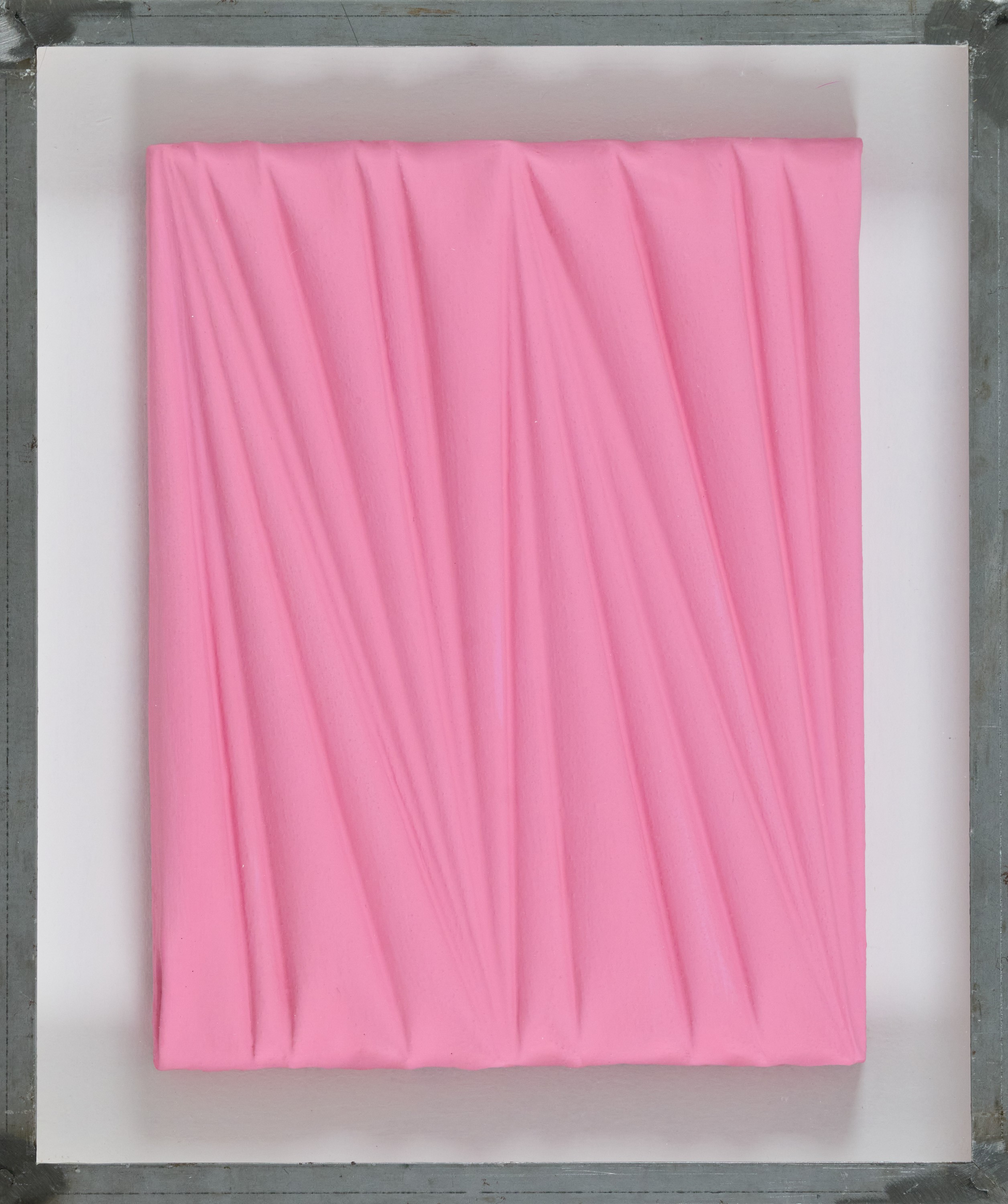 La forma celata - Rosa