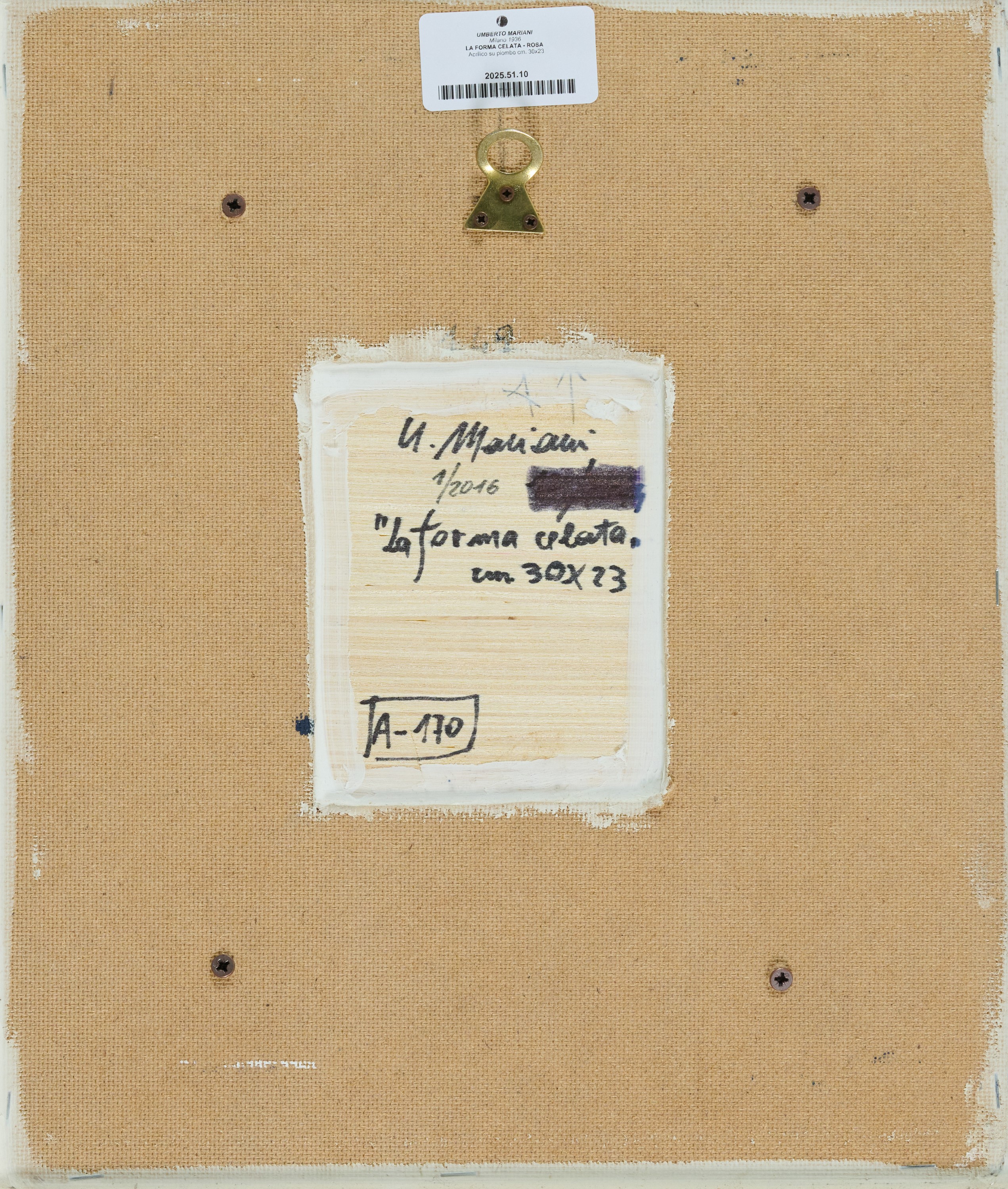 La forma celata - Rosa