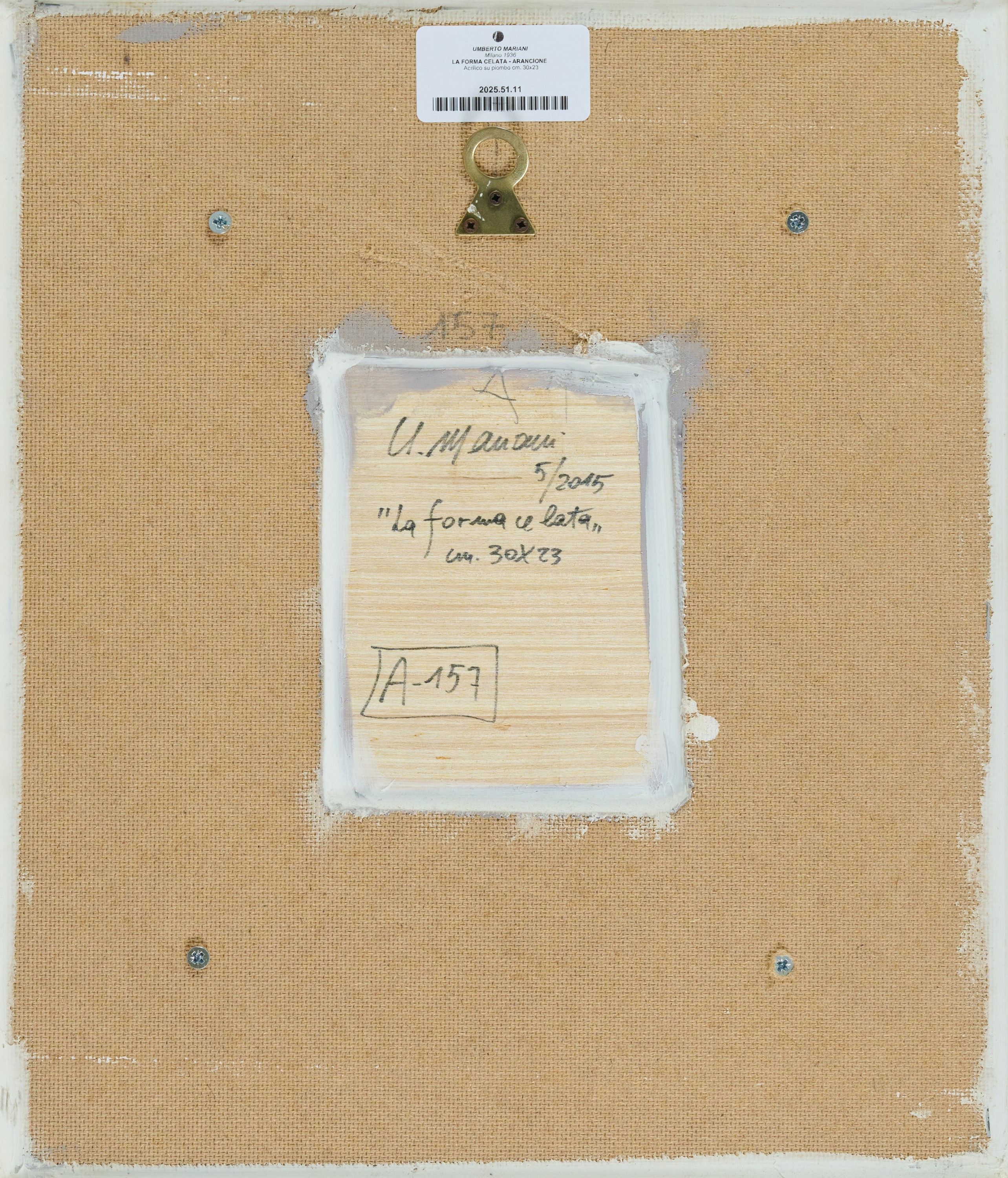 La forma celata - Giallo