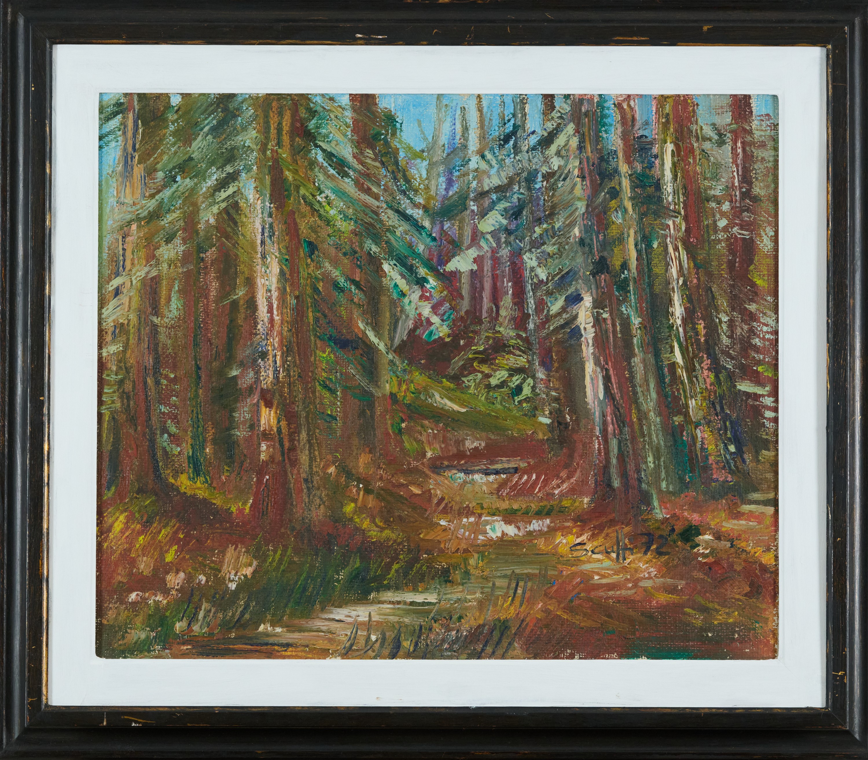 Autunno presso Vallombrosa