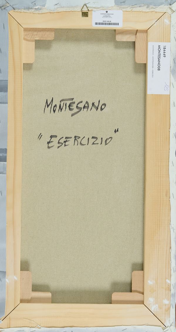 Gianmarco Montesano - Esercizio