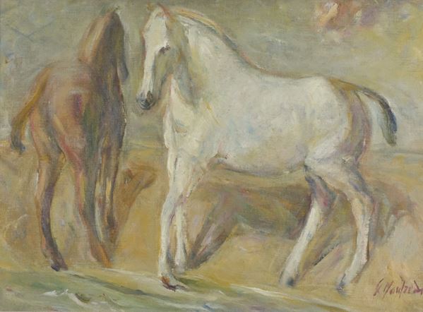 Giuseppe Manfredi - Cavalli