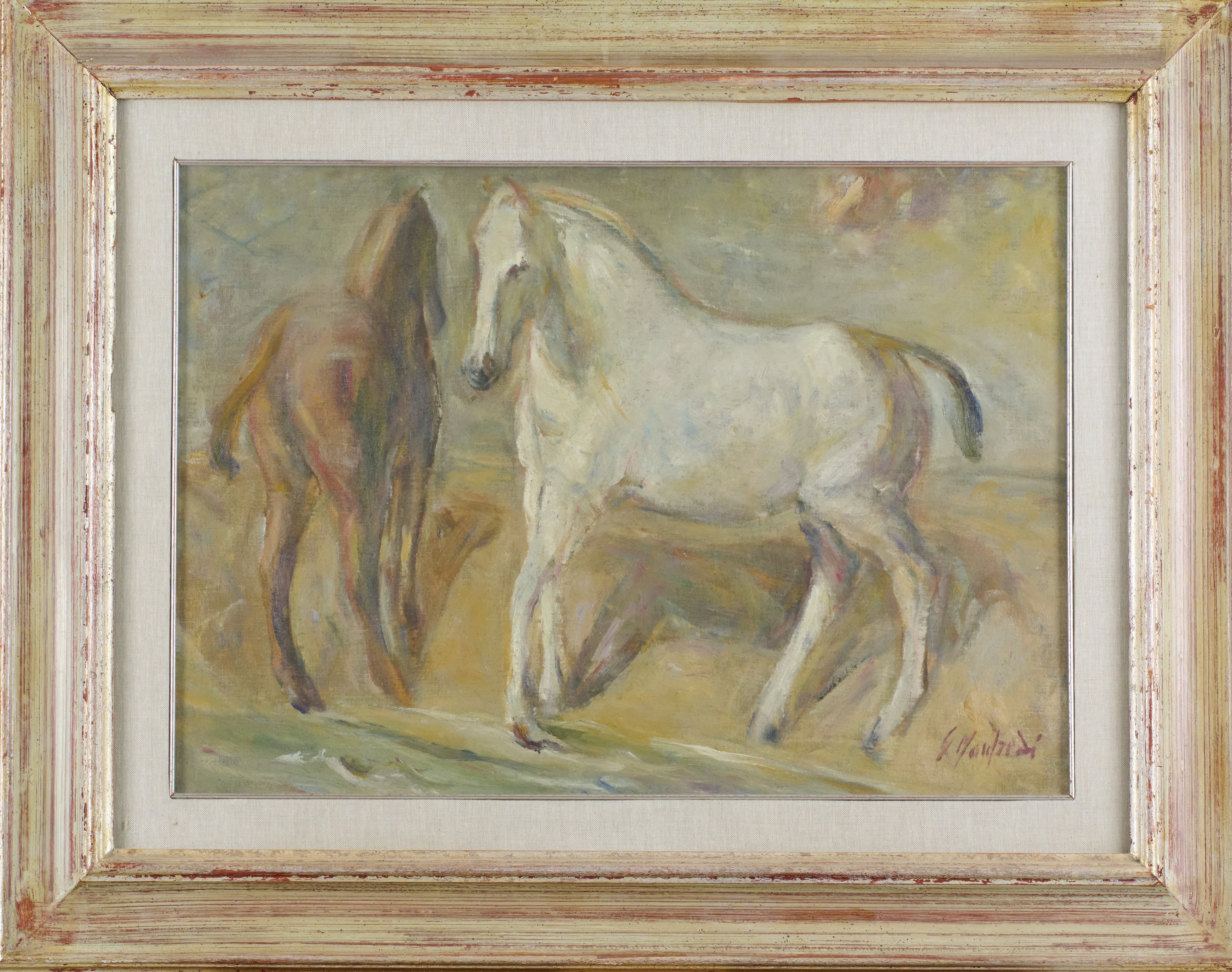 Giuseppe Manfredi - Cavalli