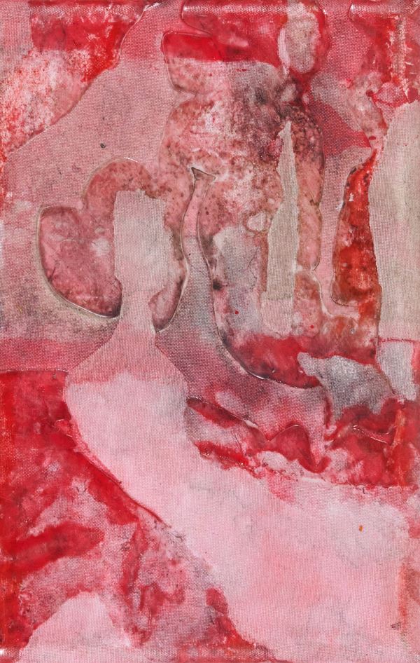 Franca Pisani - Senza titolo