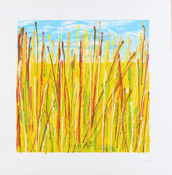 Mario Schifano : Campo di pane  - Serigrafia materica su carta - Asta Asta di Arte Moderna e Contemporanea - Fabiani Arte