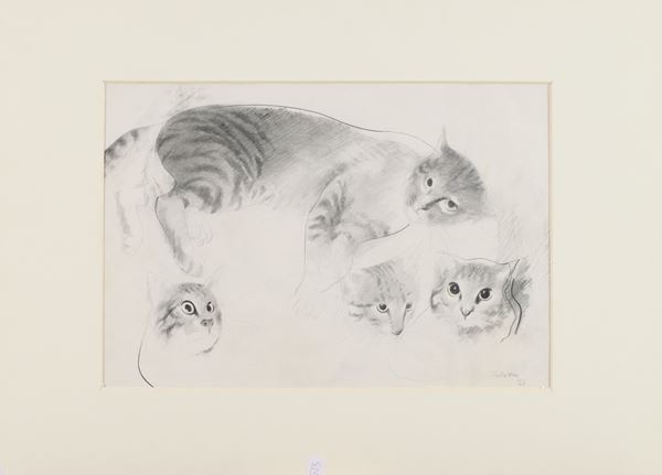 Frank Rinaldo Burattin - Gatti