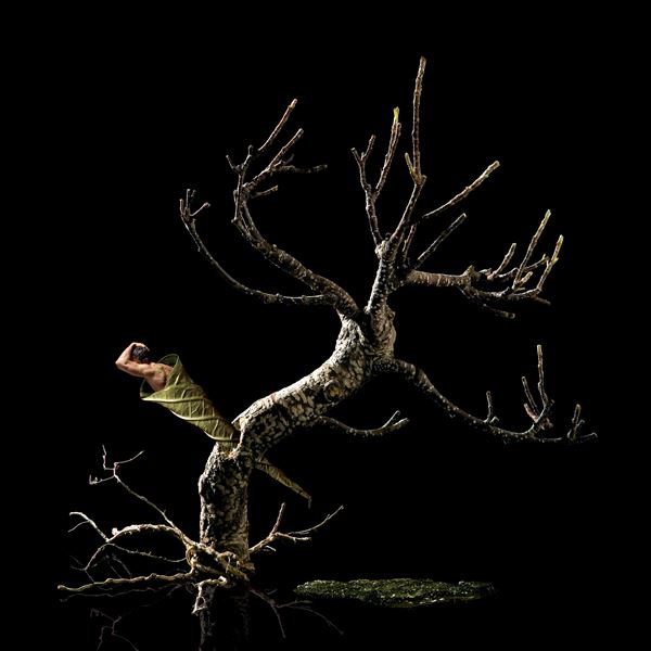 J&amp;PEG : Supreme sacrifice  (2009)  - Fotografia e acrilici su PVC - Asta Asta di Arte Moderna e Contemporanea - Fabiani Arte