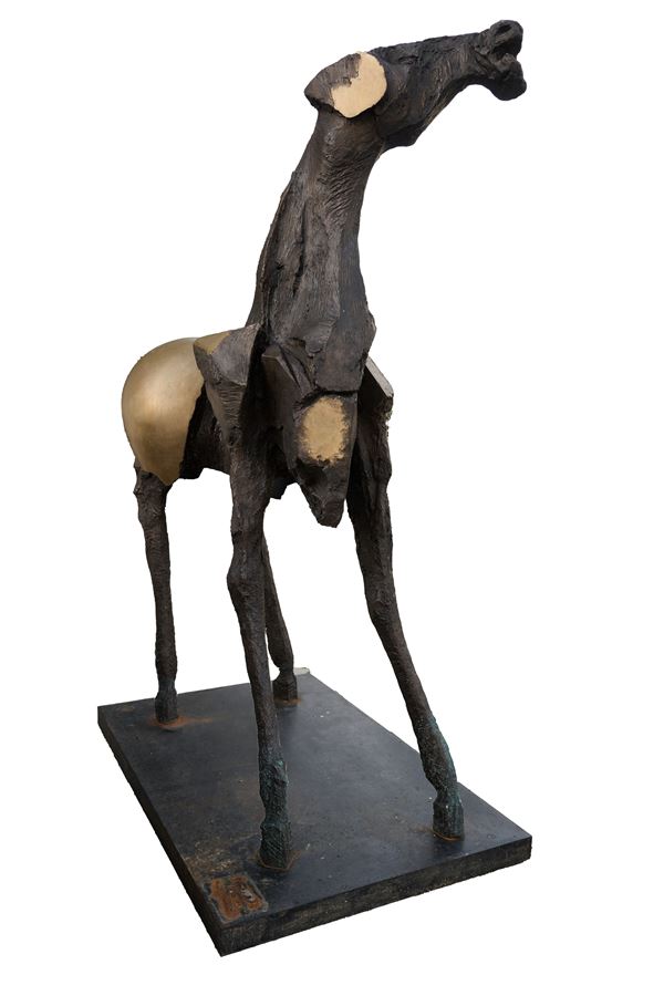 Nag Arnoldi - Cavallo