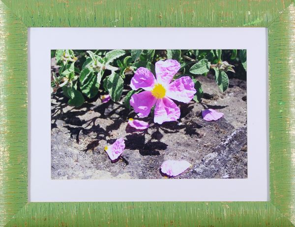 NECATI (Nello Catinello) - Senza titolo