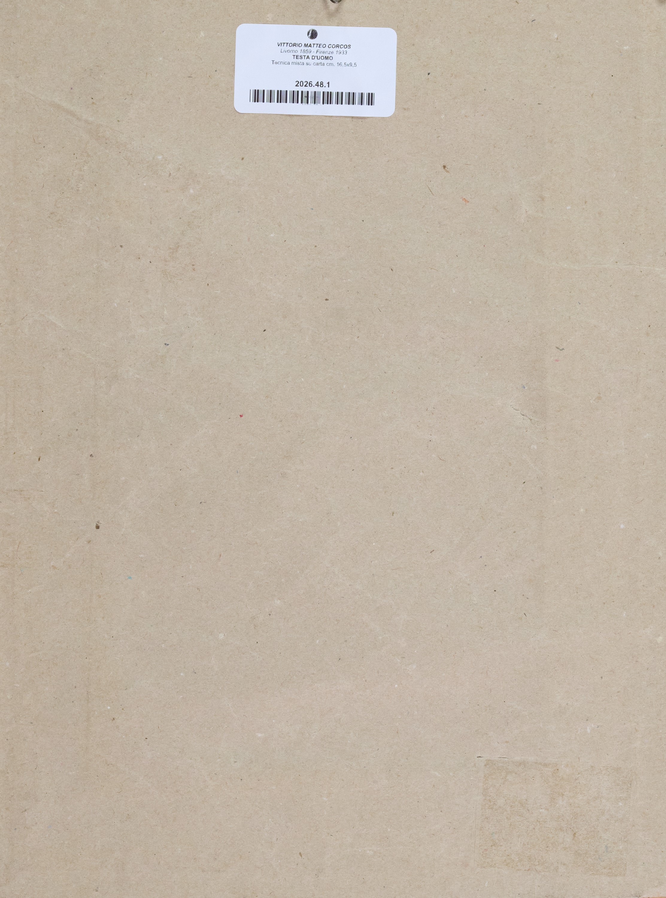 Vittorio Matteo Corcos - Testa d'uomo, tecnica mista su carta