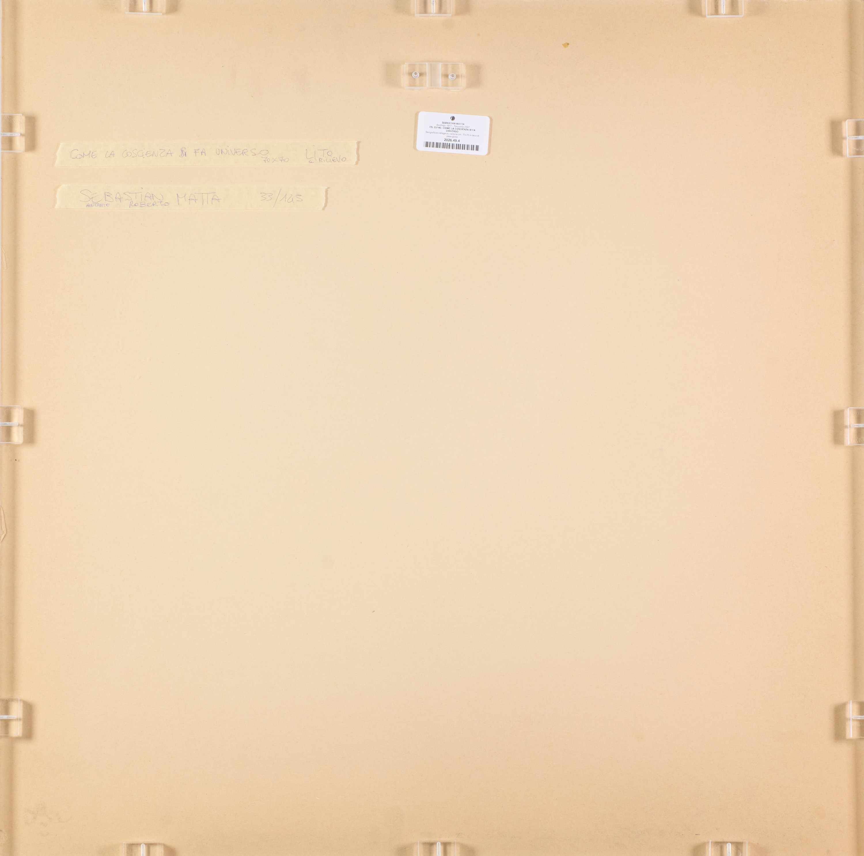 Come La Coscienza Si Fa Universo