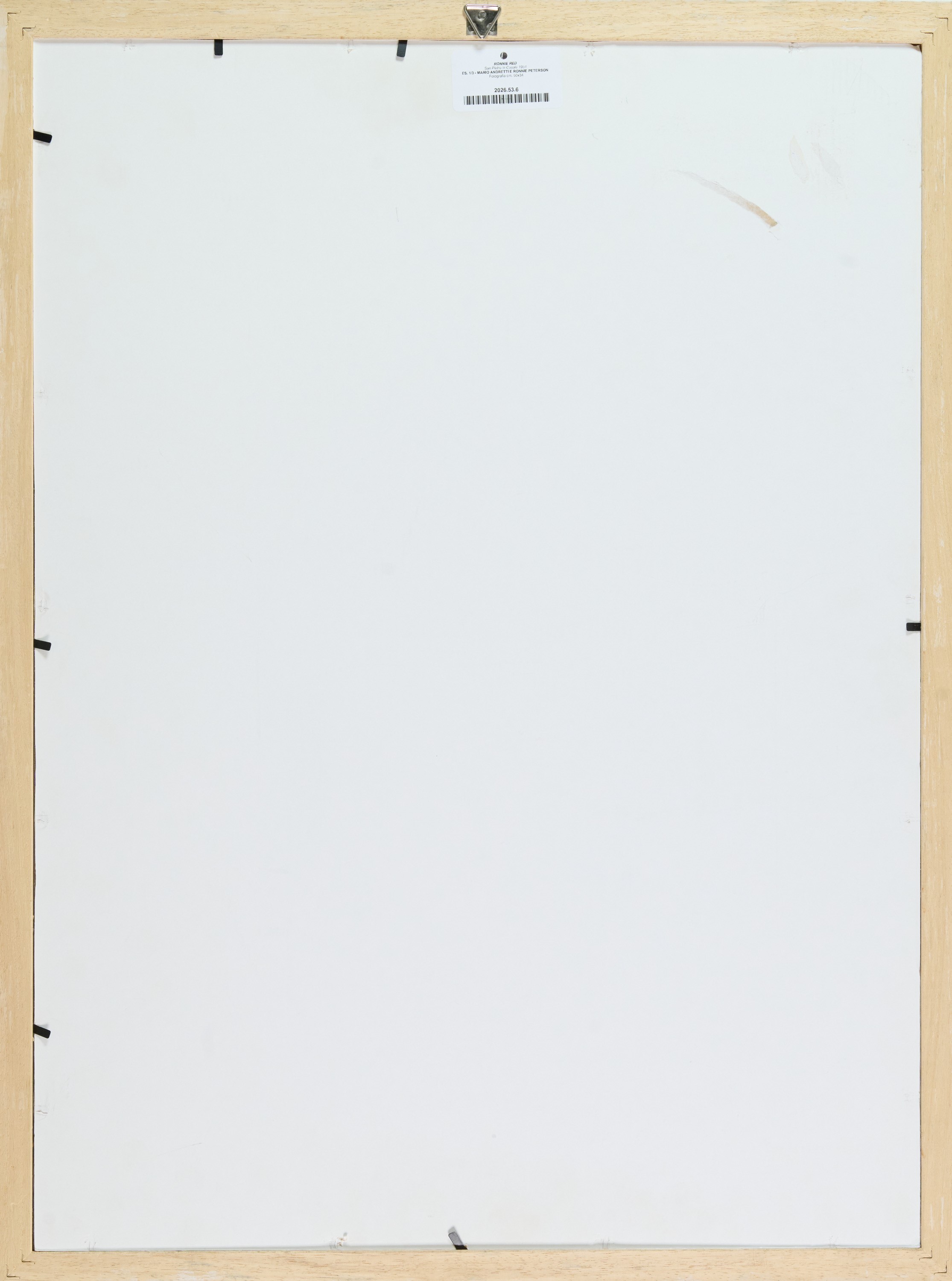 Mario Andretti e Ronnie Peterson