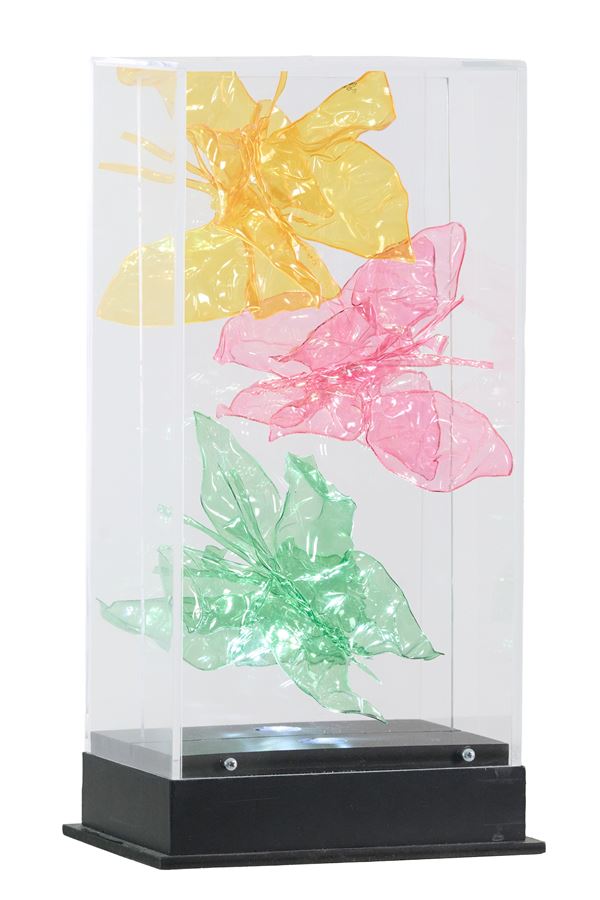 Raffaella Rosa Lorenzo - Il volo della vita