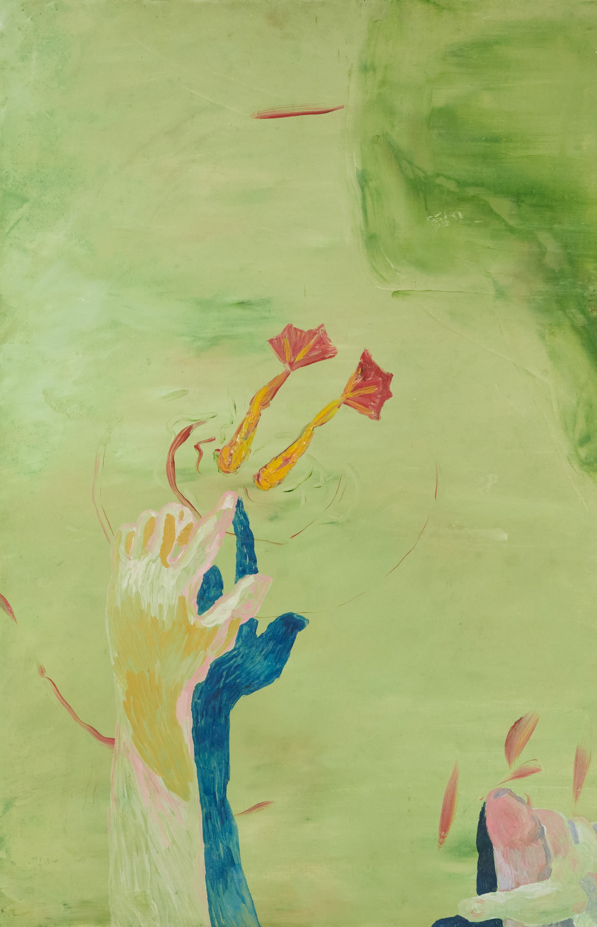 Da Renè per rane - Titire