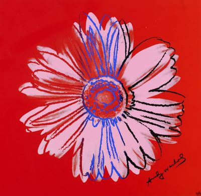 Daisy