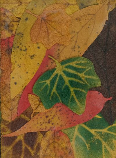 Foglie Cadute (collage di poliuterano espanso)