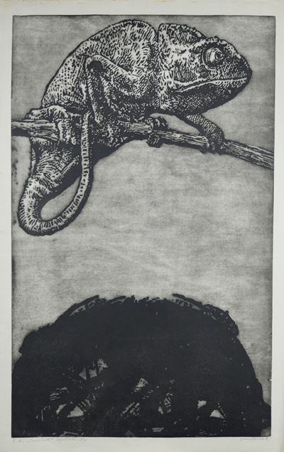 Camaleon, acquatinta su carta (1973)
