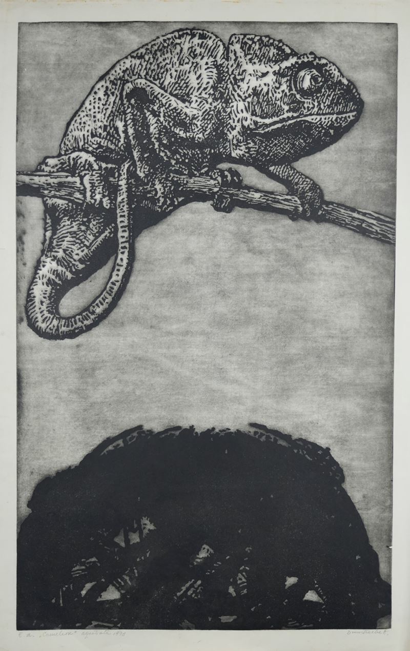 Adrian Dumitrache - Camaleon, acquatinta su carta (1973)