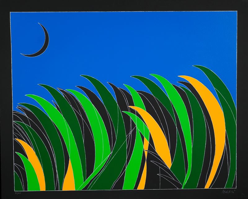 Franco Angeli - Serigrafia su cartoncino (senza titolo)
