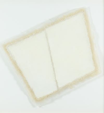 Irregular Shape, acrilico su tela (1977)