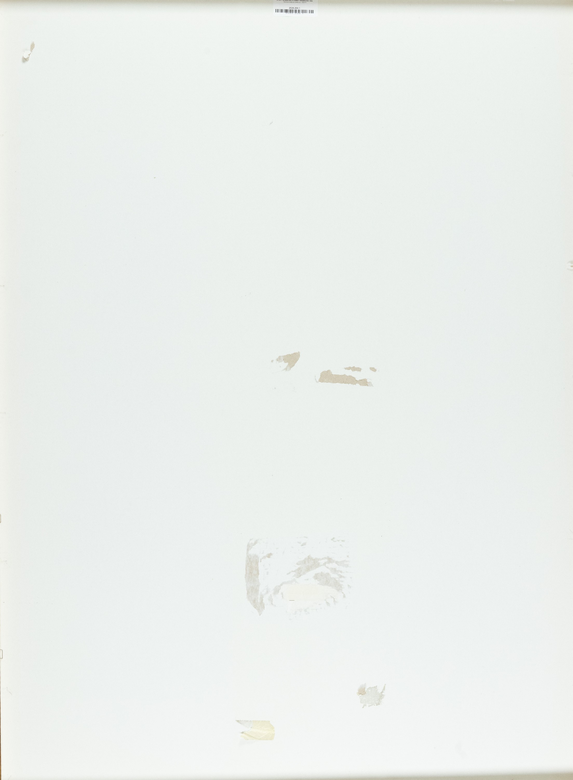 Dennis Oppenheim - Study: Woman with cubist tendencies (studio, tecnica mista su carta), 1994