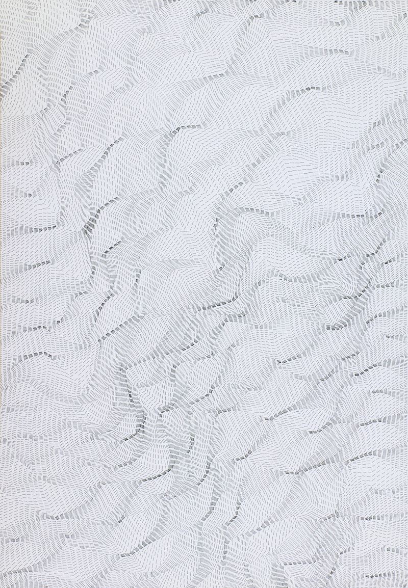 Dadamaino - Il Movimento delle Cose (inchiostro su carta)