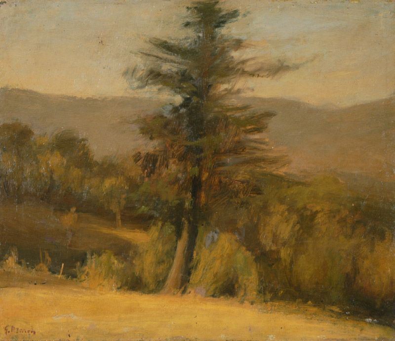 Giovanni March - Albero
